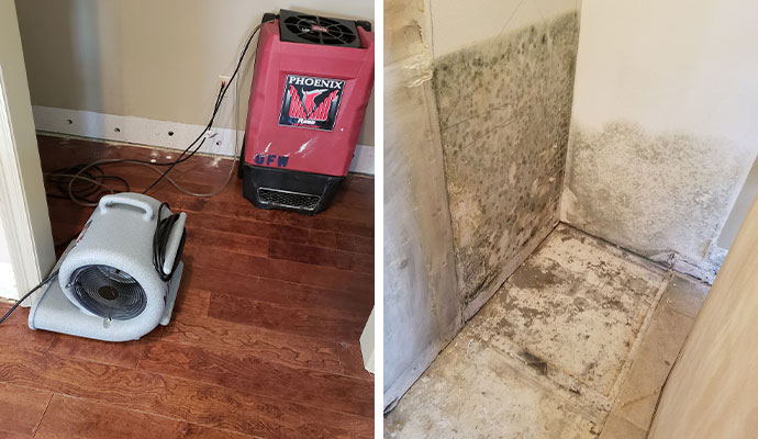 professional water and mold damage restoration service
