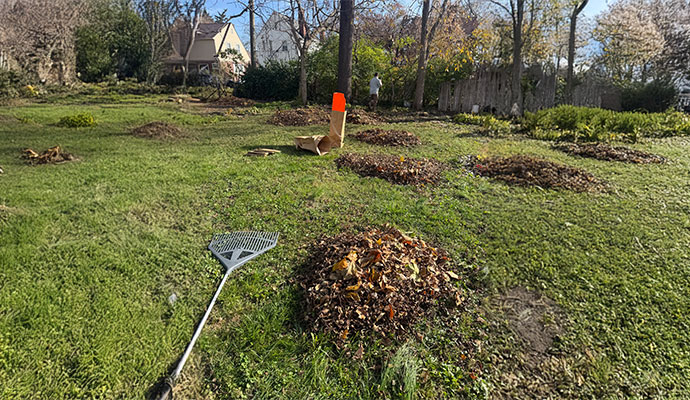 BOMA Gives Back 2025