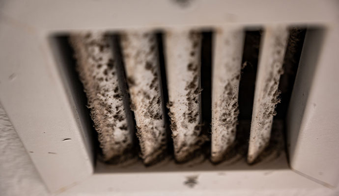 Moldy Duct Cleaning