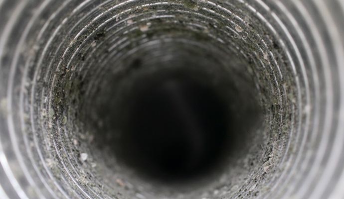 Mold growth inside air duct