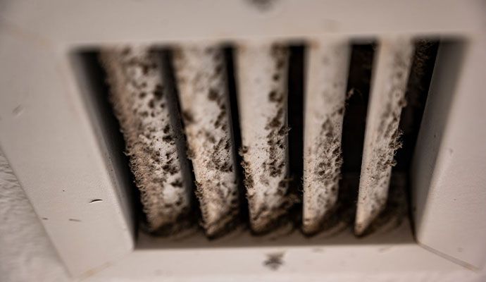 Visible mold spots around a vent cover