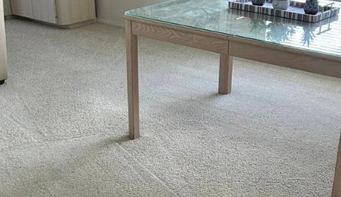 beautiful clean carpet on the floor