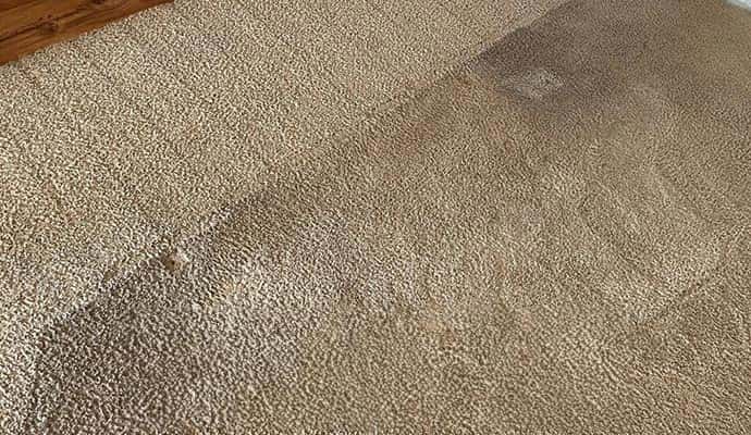 bleach spot on carpet
