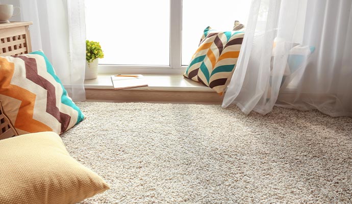 Bright room with clean beige carpet