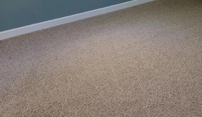 a clean carpet on the floor