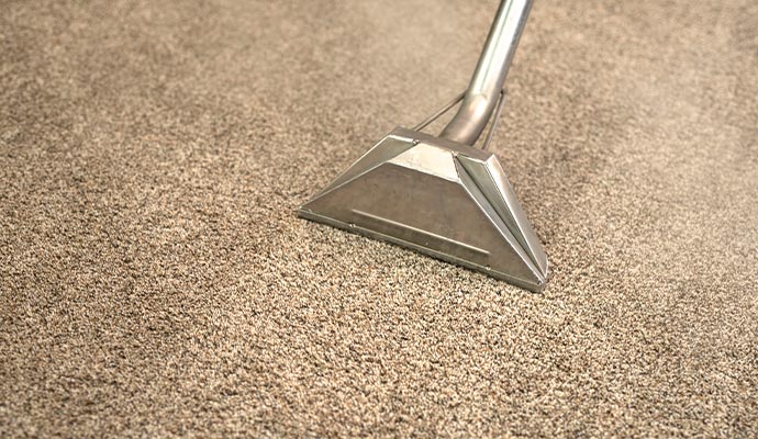A professional technician using a steam cleaning tool on a brown carpet