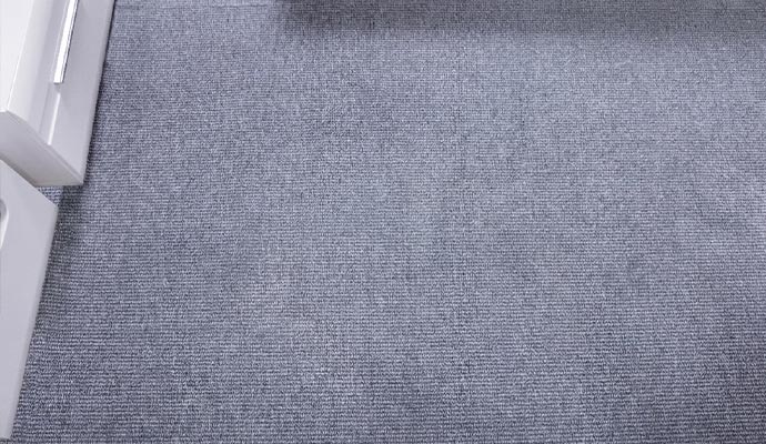 Clean grey low pile residential carpet flooring