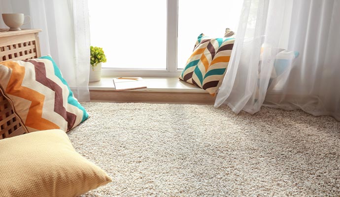 Cozy home living area with plush carpet and natural light