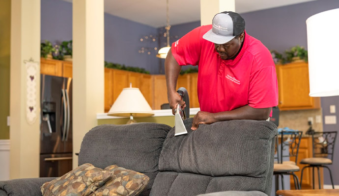 Expertise removing odor from sofa