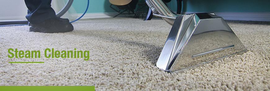 Teasdale Fenton Carpet Cleaning Water Damage Dayton