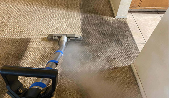 Carpet Cleaning Service in Collinsville