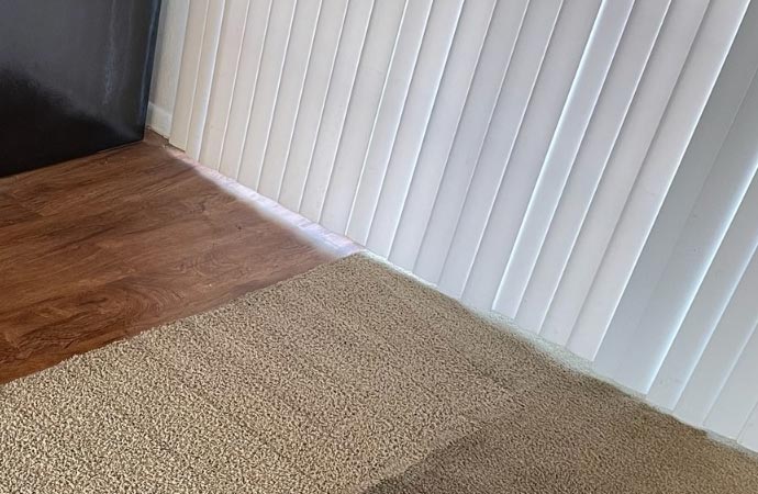 Clean Carpet