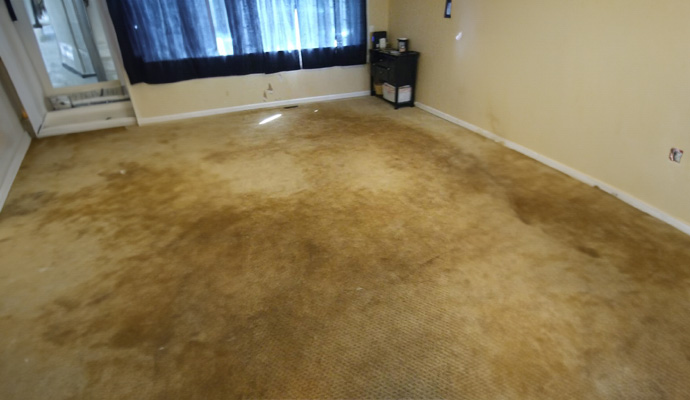 Discolored carpet cleaning before and after scenario