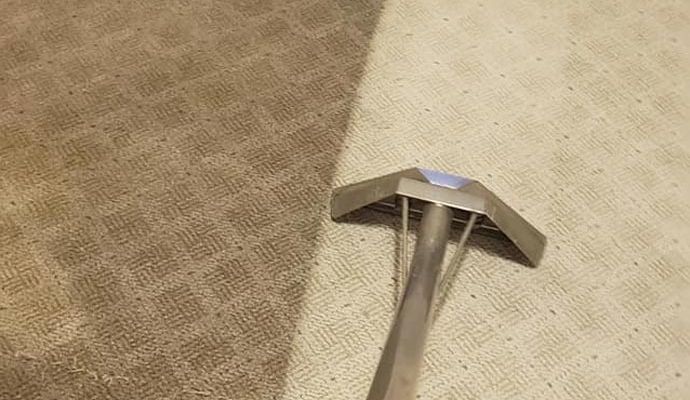 Carpet dyeing service
