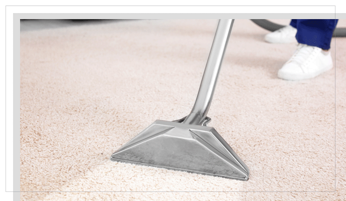 Professional carpet cleaning carpet