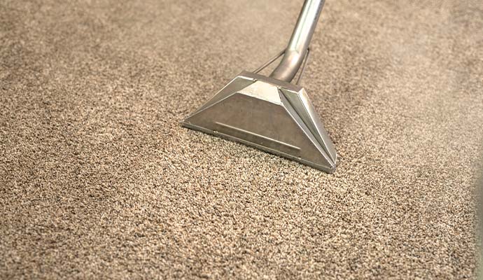Carpet steam cleaning service