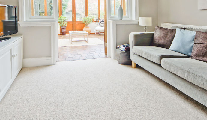 Clean carpet on a floor