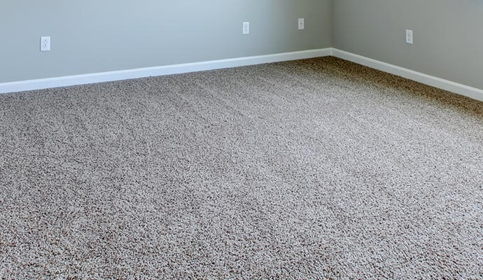 Clean carpet placed on floor