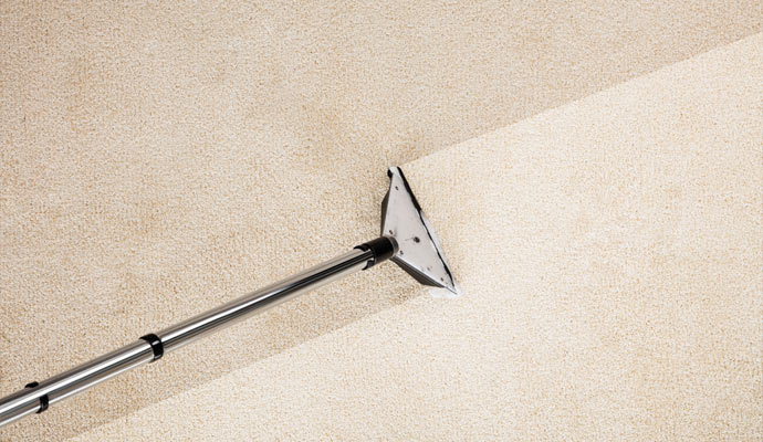 cleaning carpet professionally
