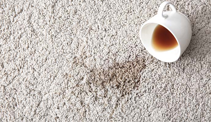 Spilled coffee cup causing a dark stain on light carpet flooring