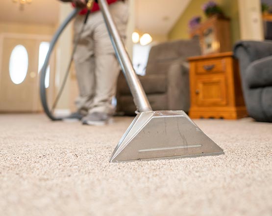 Carpet deep cleaning service