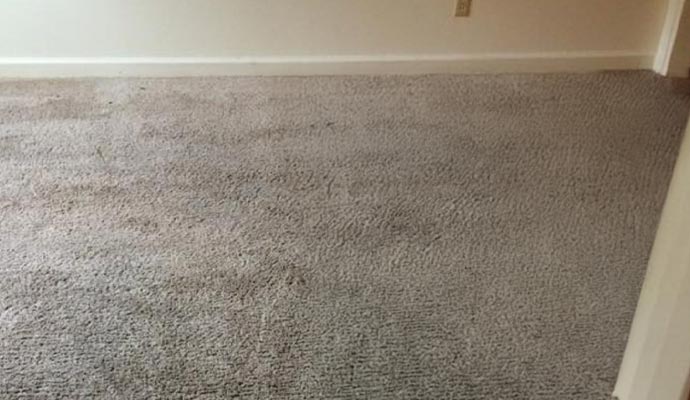 Discolored repair carpet