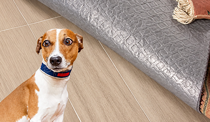 Dog sitting beside moisture barrier rug pad on tile floor