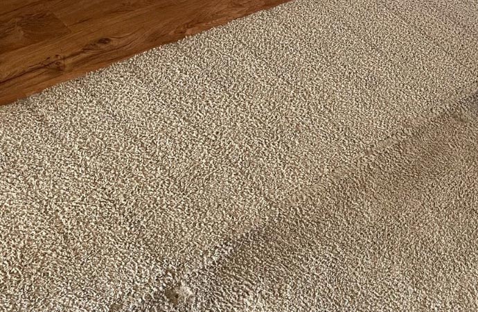 Emergency Carpet/Floor Cleaning in Cincinnati