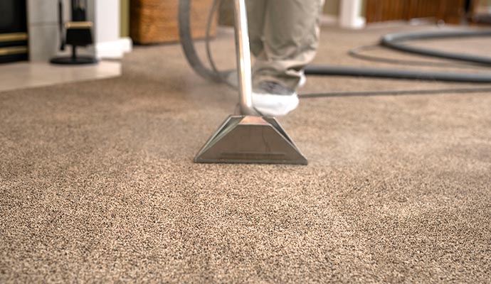 Expert carpet Cleaning Service