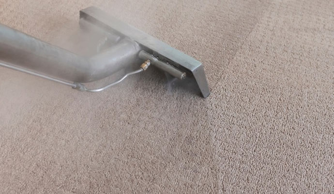 Expert carpet cleaning