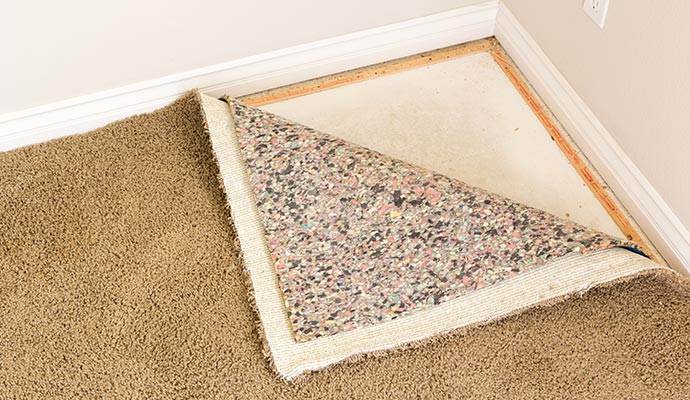 Exposed carpet tack strip