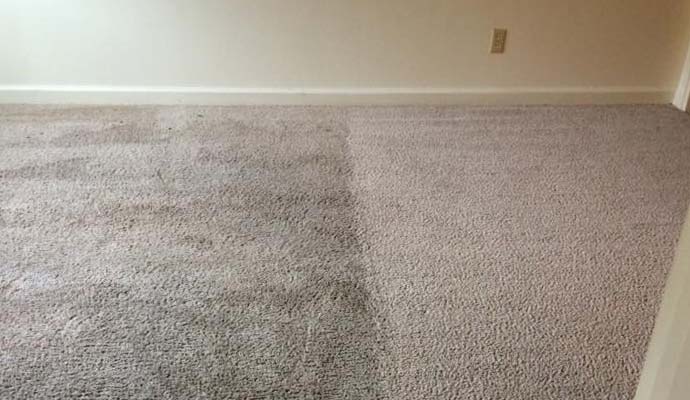 floor carpet cleaning service before and after