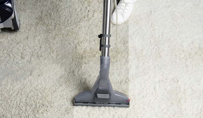 frieze carpet cleaning service
