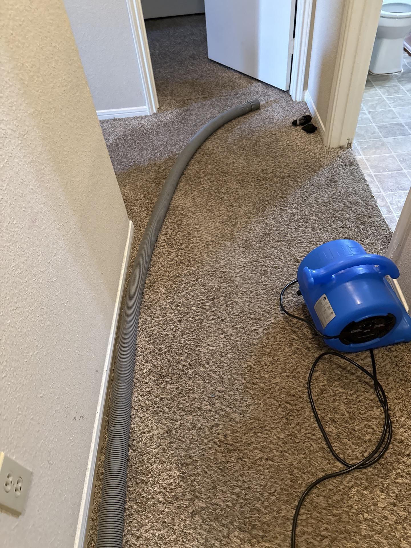 Air mover and extraction hose on carpet, part of Teasdale Fenton's water damage drying process to restore carpet