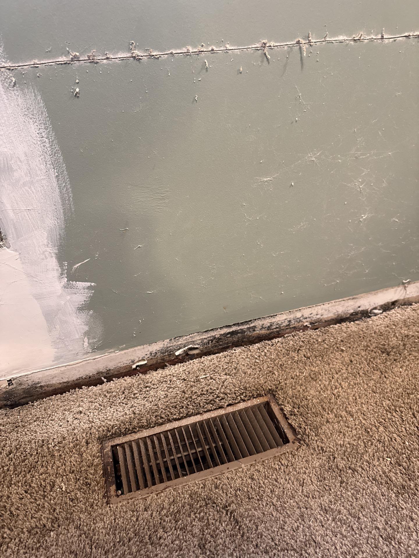 Inspection reveals dark mold growth along the wall baseboard near a carpeted floor vent register.