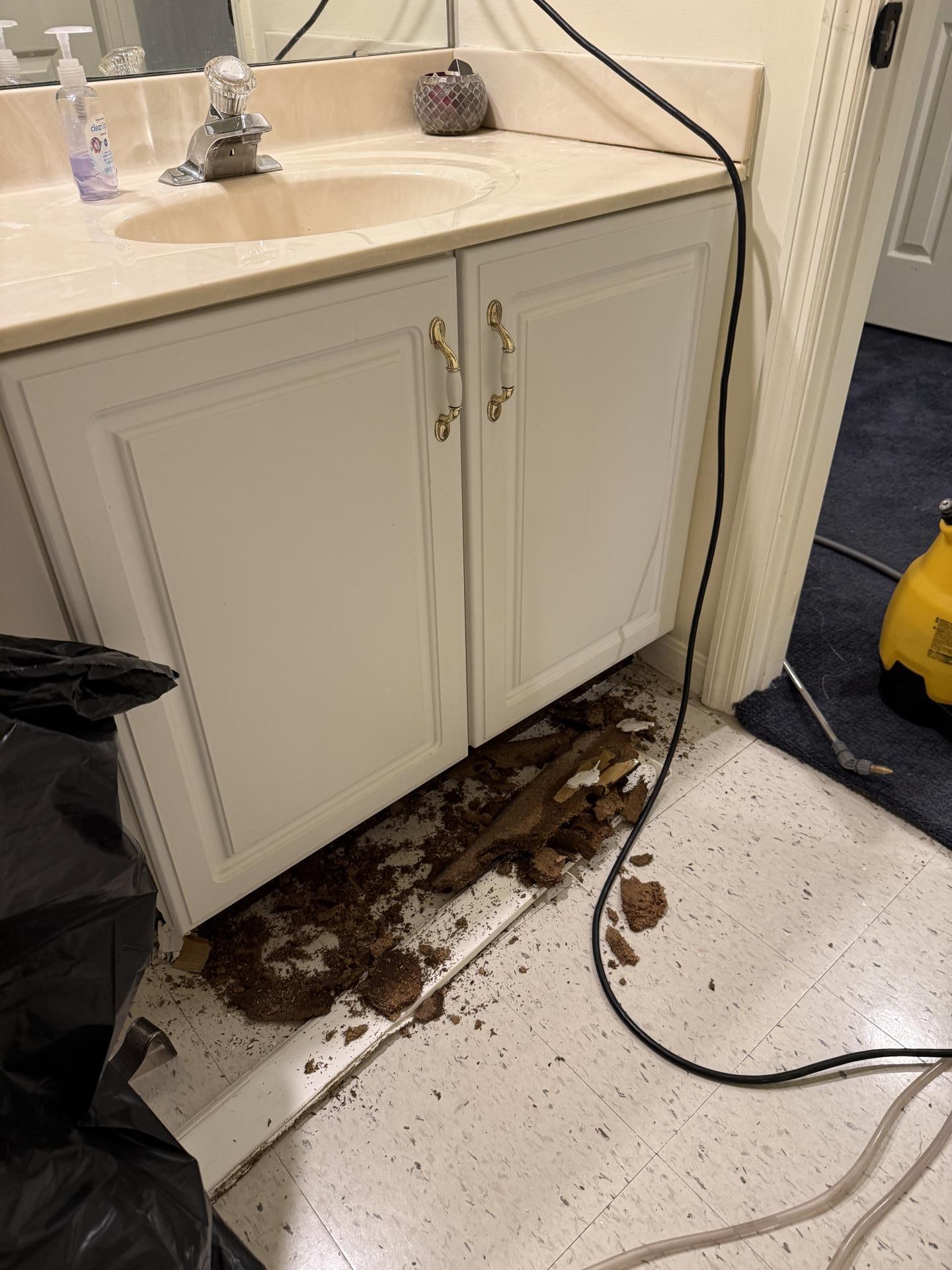 Saturated base and collapsed kickplate of a bathroom vanity undergoing professional water damage inspection.