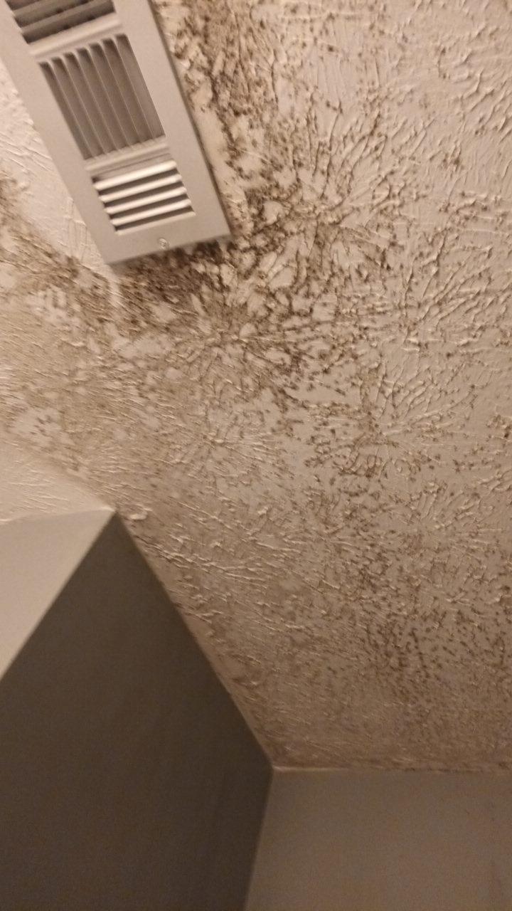 Severe dark mold colonies spreading across a textured plaster ceiling around an AC supply register.