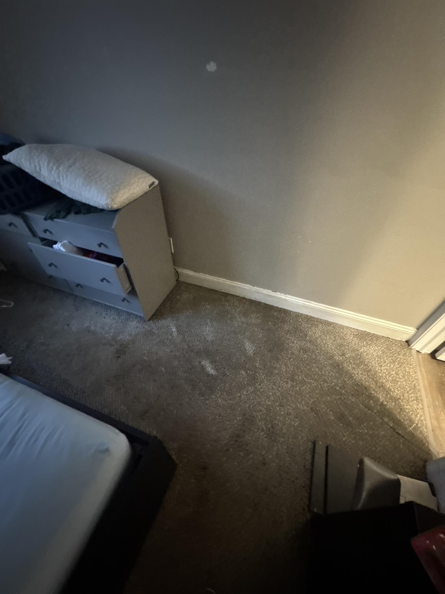 Carpeted floor appearing dry and restored after professional water damage drying and moisture removal services, next to a dresser.