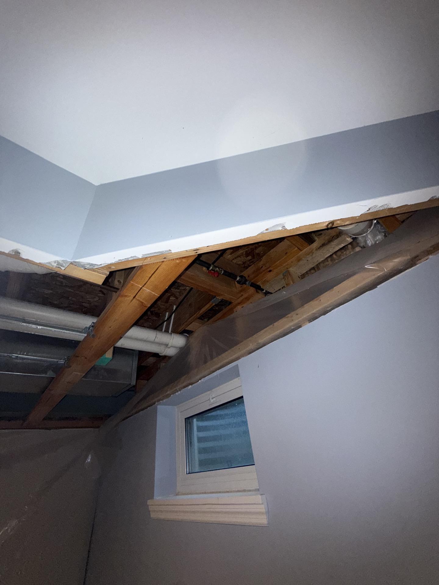 Exposed ceiling joists in a basement room following structural remediation for mold, showing a window and light blue walls.