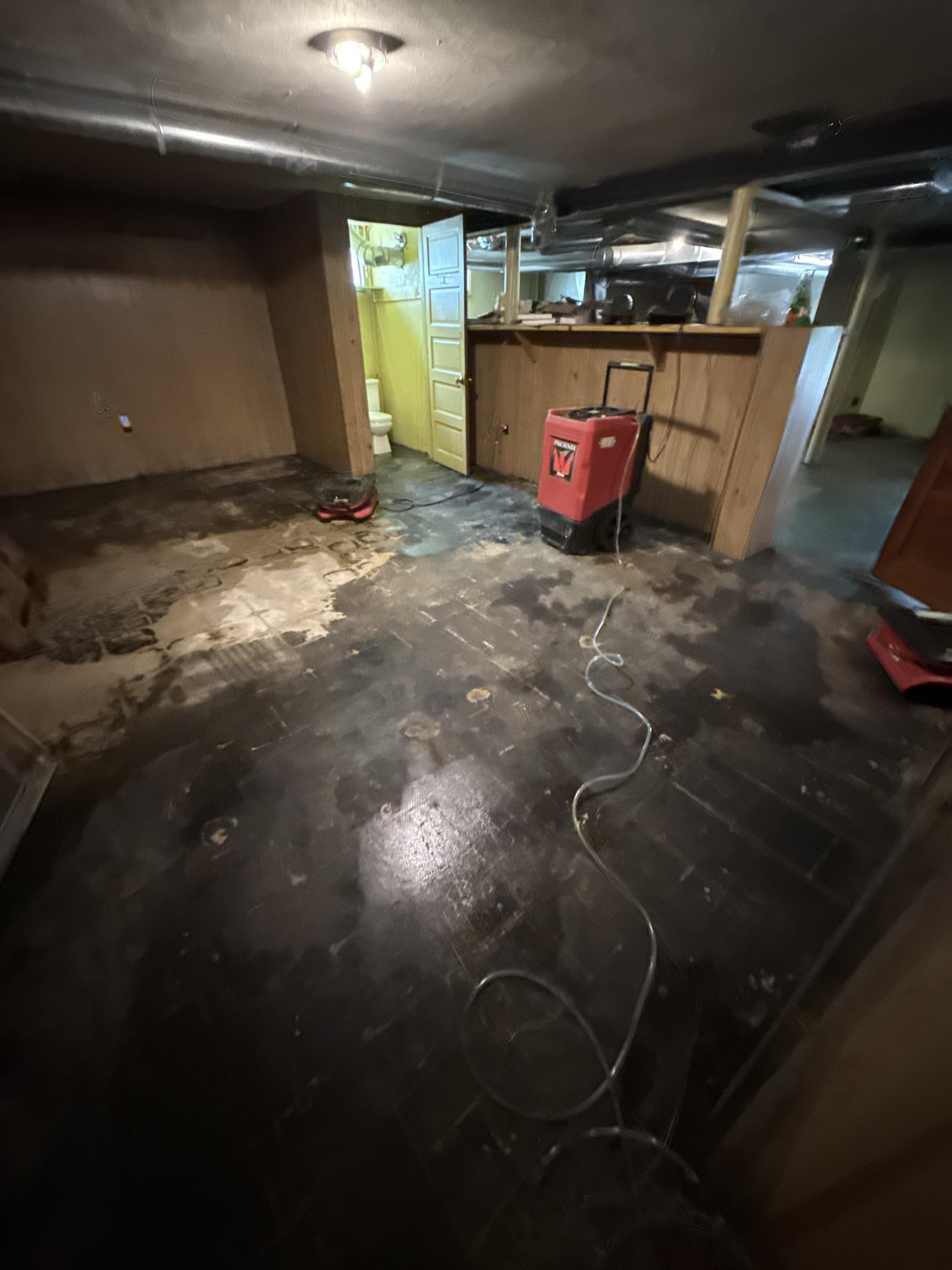Commercial dehumidifier and air movers actively drying a wet basement floor during professional water damage mitigation.