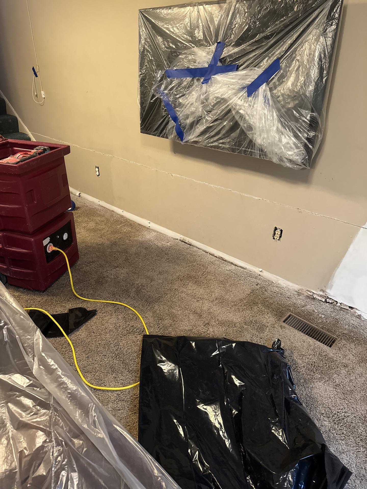 Inspection reveals dark mold growth along the wall baseboard near a carpeted floor vent register.