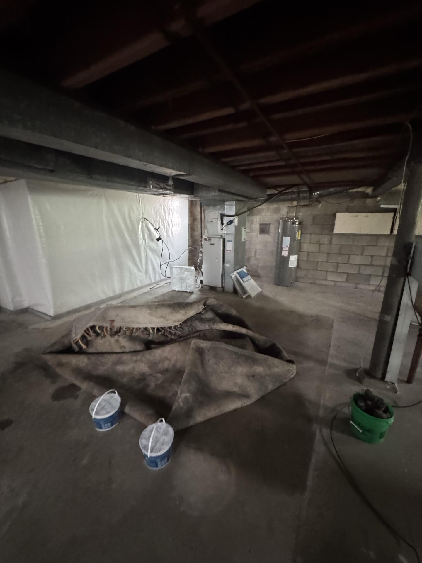 Emergency water extraction in a flooded basement featuring a soaked rug and concrete floor.