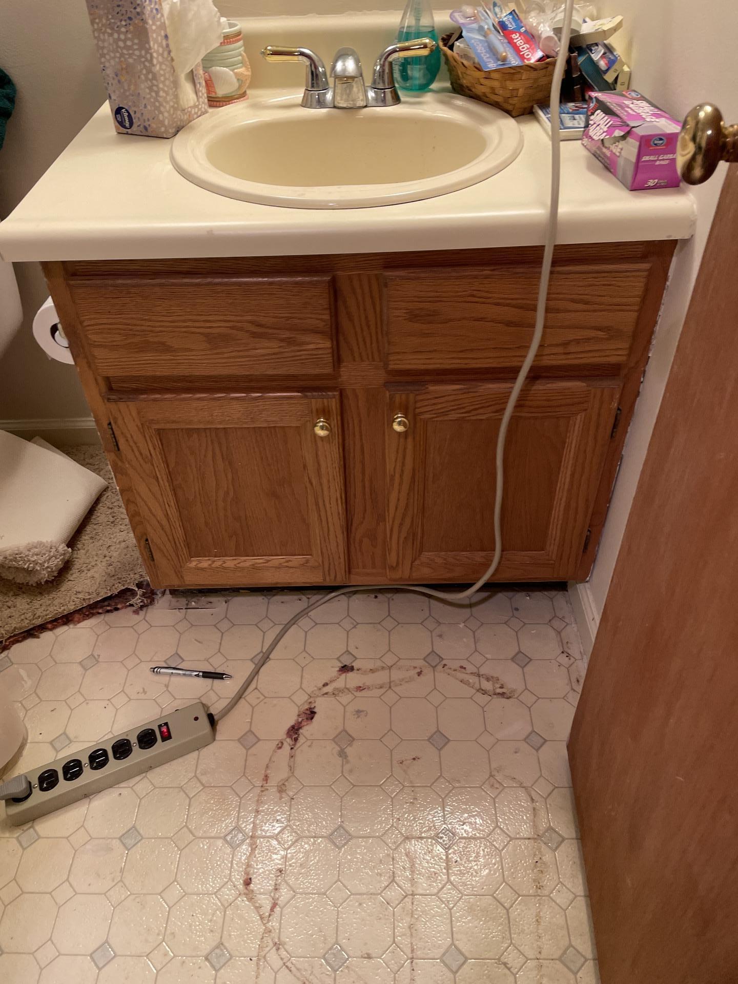 Bathroom vanity and patterned vinyl flooring inspected for post-mitigation restoration and flooring replacement