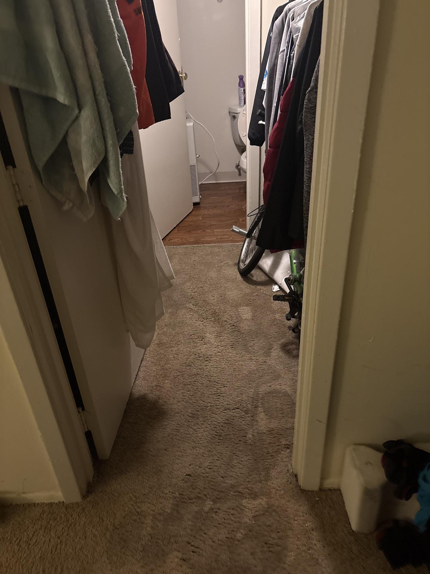 Clean and fully restored carpet in a residential hallway after professional water damage cleanup and drying by Teasdale Fenton in Cincinnati.