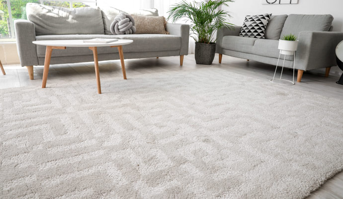 Level Loop Pile Carpet Cleaningg