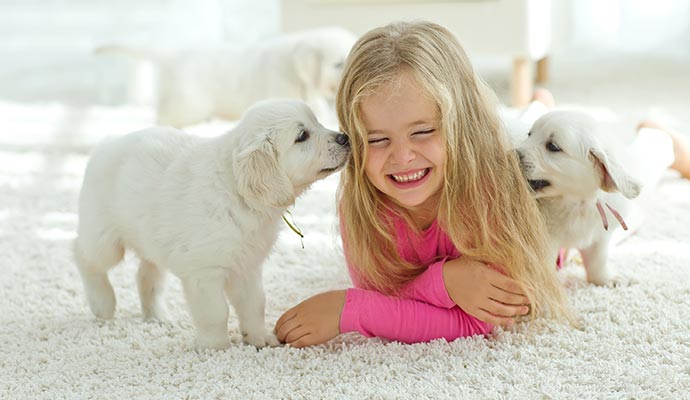 kid with pets on carpet