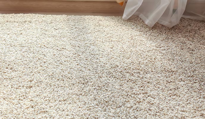 Professional level loop pile carpet cleaning