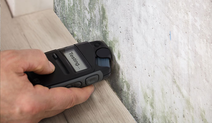Professional Mold Testing in Greater Cincinnati