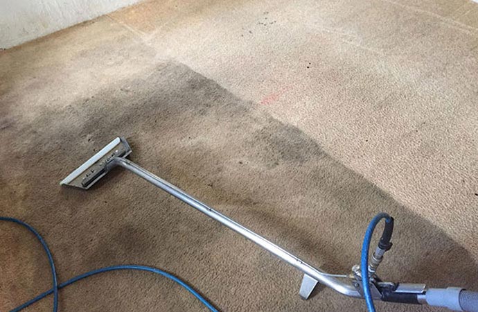 Odor Removal & Carpet Deodorizing