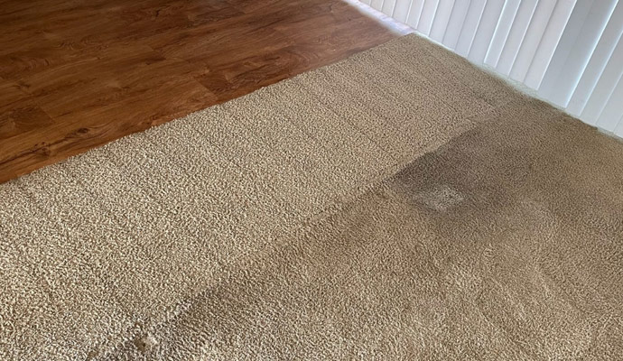 Oriental & Area Rug Cleaning in Cincinnati by Teasdale Fenton Cleaning & Property Restoration